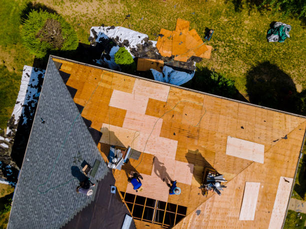 Best Roof Gutter Cleaning  in Drum Point, MD
